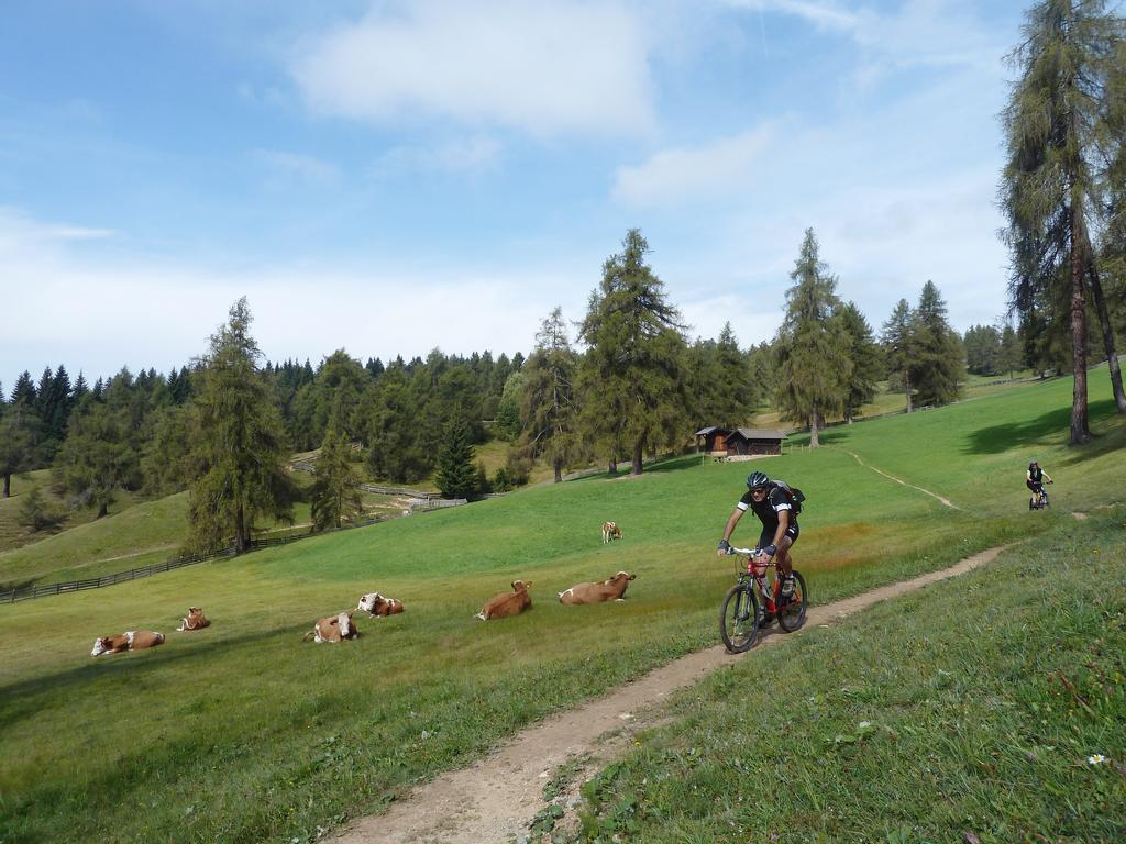 Schlaneiderhof