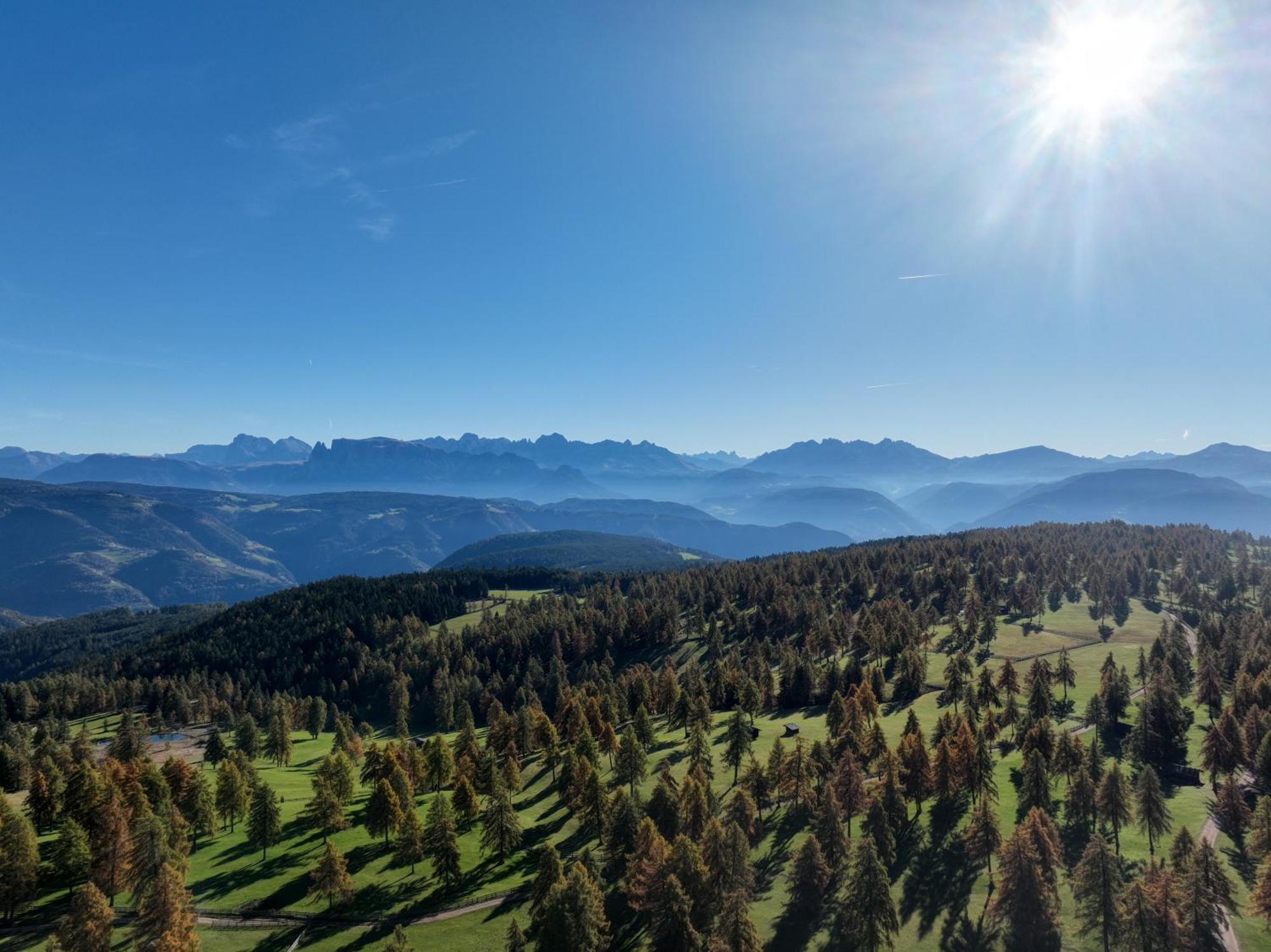 Schlaneiderhof