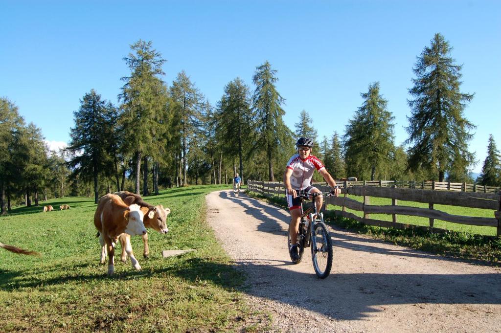 Schlaneiderhof 3*